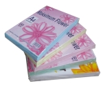 Bìa Thái A4 (Trắng, Hồng, Xanh, Xanh lá, Vàng)