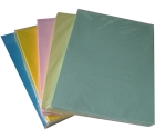 Bìa Thái A3 (Trắng, Hồng, Xanh, Xanh lá, Vàng)